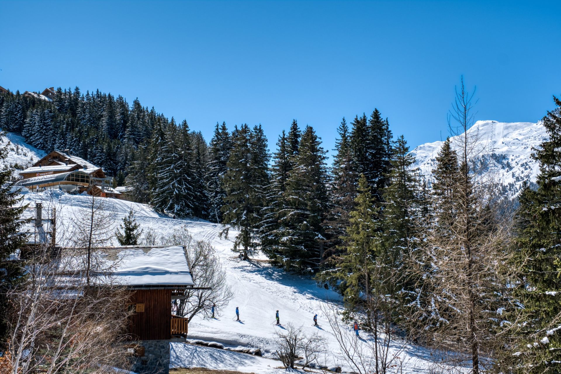 luxury chalet 11 Rooms for seasonal rent on MERIBEL LES ALLUES (73550)