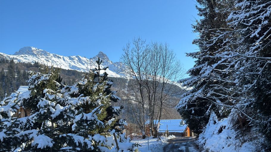 luxury chalet 6 Rooms for sale on MERIBEL LES ALLUES (73550)