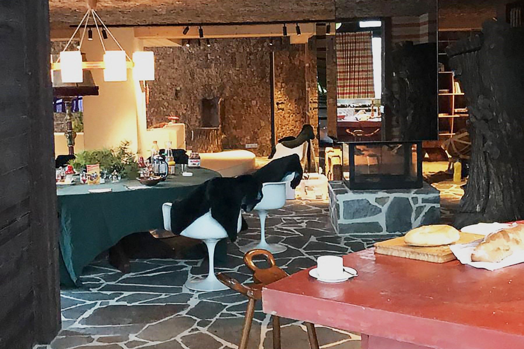 appartement de luxe 8 Pièces en location saisonnière sur MERIBEL LES ALLUES (73550)