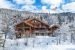 luxury chalet 15 Rooms for seasonal rent on LES ALLUES (73550)