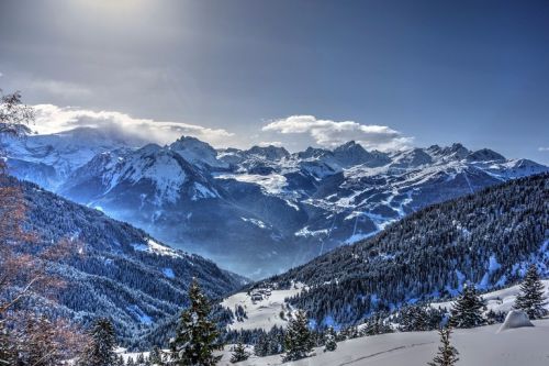 Agence immobilière de prestige Méribel