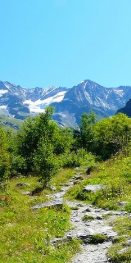 Connecté Nature
